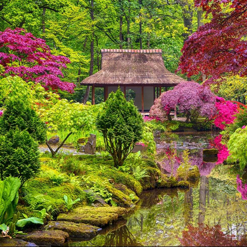 Discover Japanese Gardens in the UK